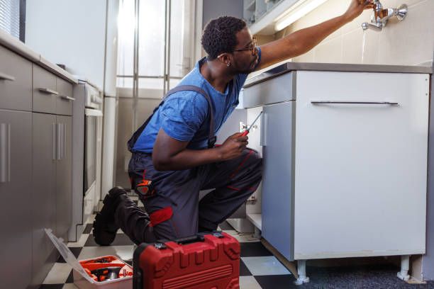 Best Local Plumber Services  in Ceredo, WV